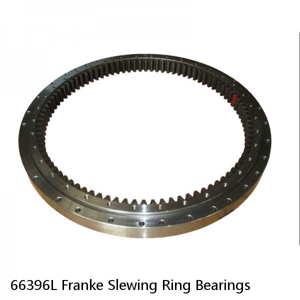 66396L Franke Slewing Ring Bearings