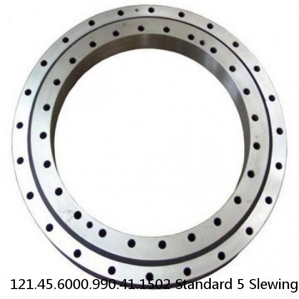 121.45.6000.990.41.1502 Standard 5 Slewing Ring Bearings