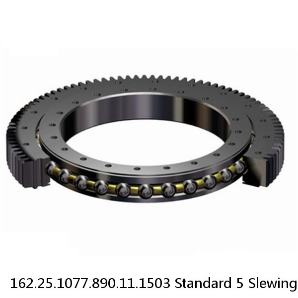 162.25.1077.890.11.1503 Standard 5 Slewing Ring Bearings