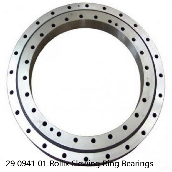 29 0941 01 Rollix Slewing Ring Bearings