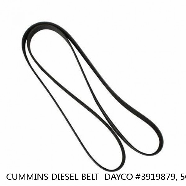 CUMMINS DIESEL BELT  DAYCO #3919879, 5080830, GATES #K080830