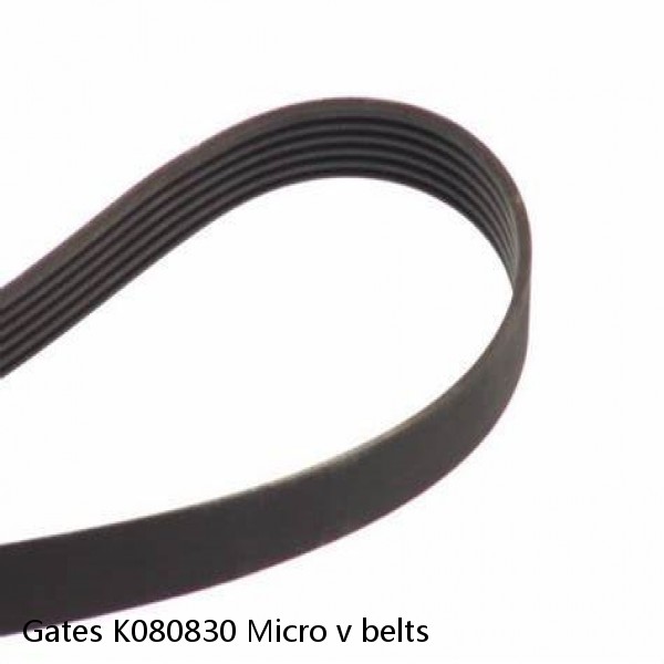 Gates K080830 Micro v belts