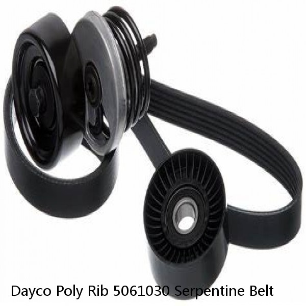 Dayco Poly Rib 5061030 Serpentine Belt