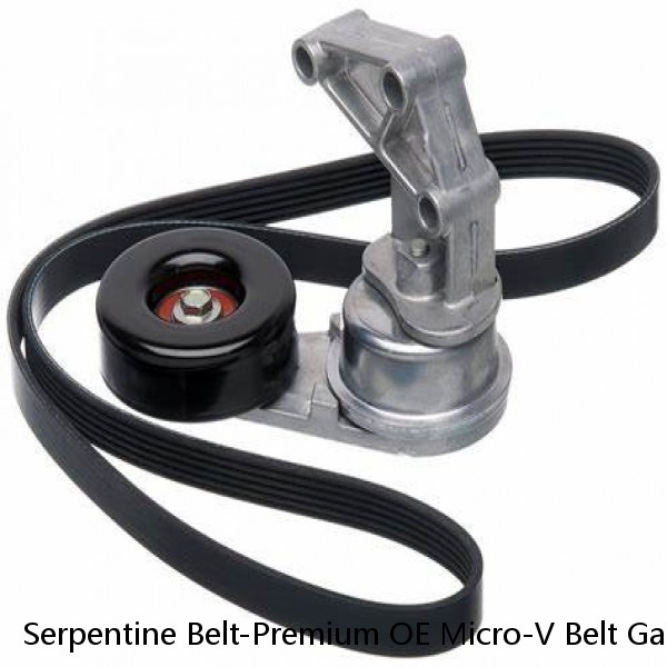 Serpentine Belt-Premium OE Micro-V Belt Gates K061031