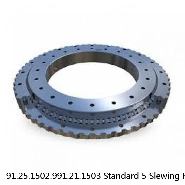 91.25.1502.991.21.1503 Standard 5 Slewing Ring Bearings