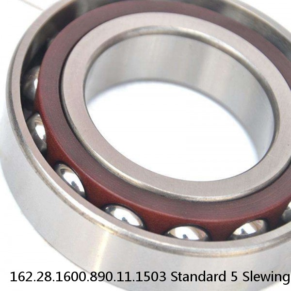 162.28.1600.890.11.1503 Standard 5 Slewing Ring Bearings