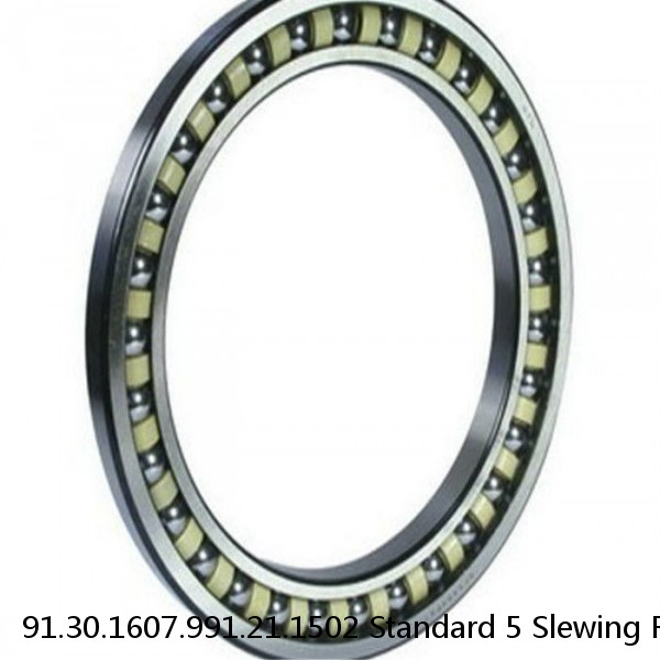 91.30.1607.991.21.1502 Standard 5 Slewing Ring Bearings