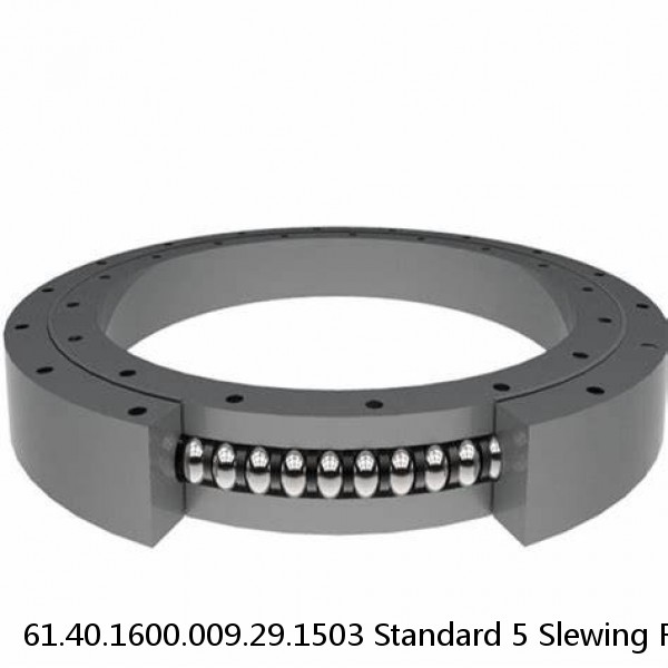 61.40.1600.009.29.1503 Standard 5 Slewing Ring Bearings