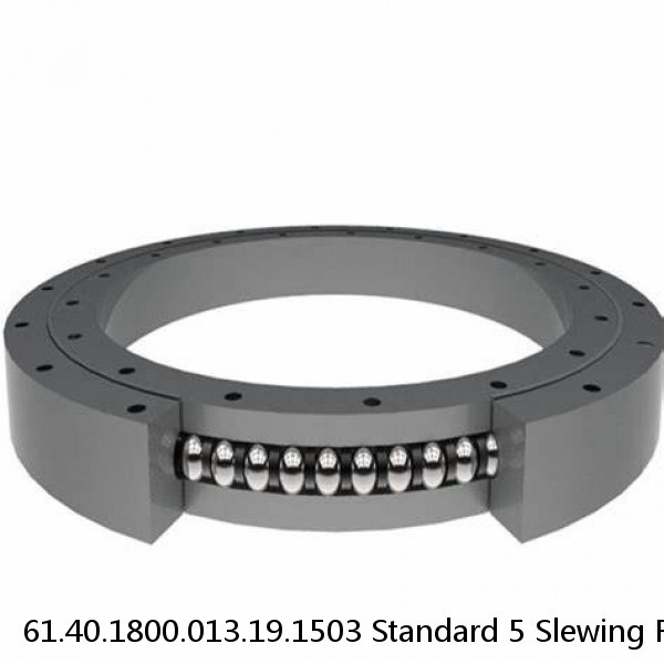 61.40.1800.013.19.1503 Standard 5 Slewing Ring Bearings