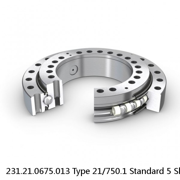 231.21.0675.013 Type 21/750.1 Standard 5 Slewing Ring Bearings