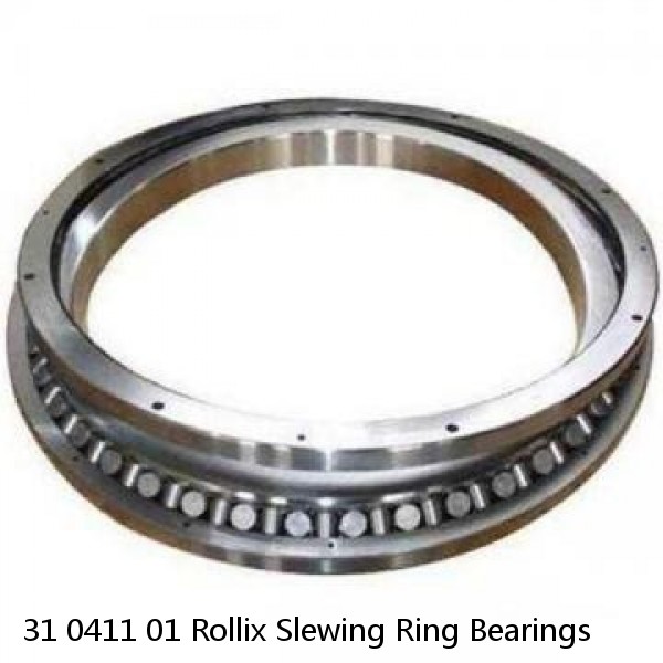 31 0411 01 Rollix Slewing Ring Bearings