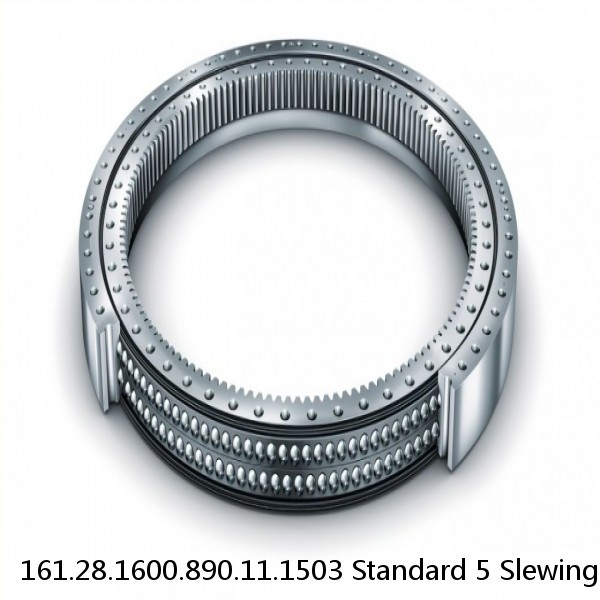 161.28.1600.890.11.1503 Standard 5 Slewing Ring Bearings