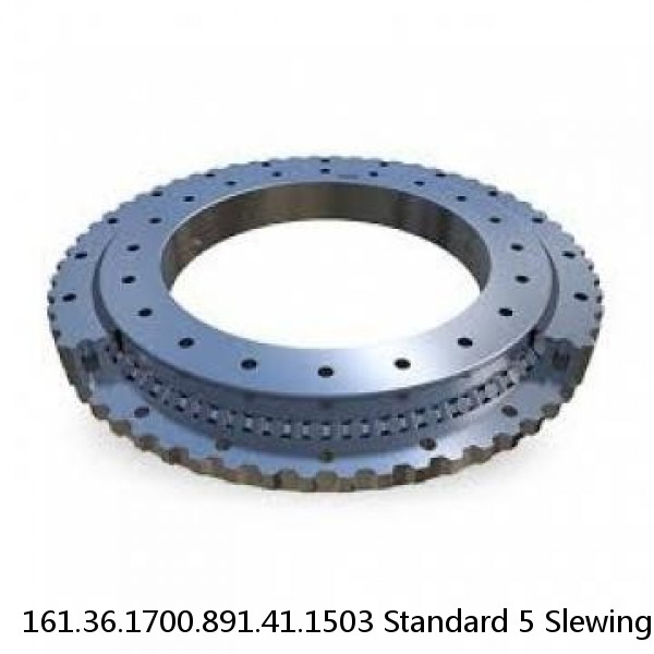 161.36.1700.891.41.1503 Standard 5 Slewing Ring Bearings