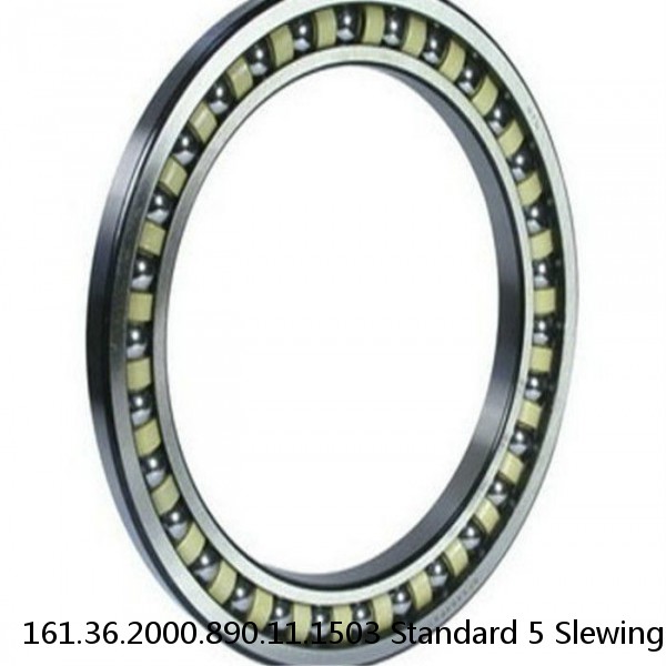 161.36.2000.890.11.1503 Standard 5 Slewing Ring Bearings