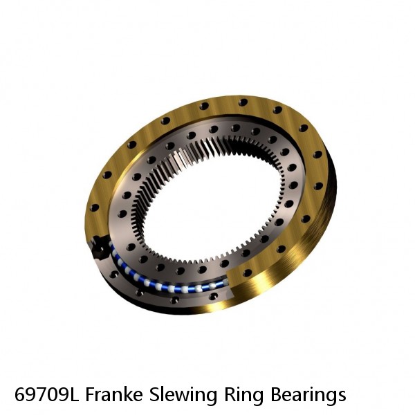 69709L Franke Slewing Ring Bearings