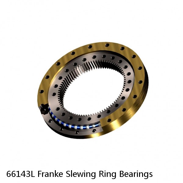 66143L Franke Slewing Ring Bearings