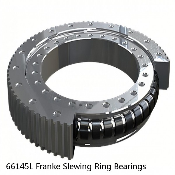 66145L Franke Slewing Ring Bearings