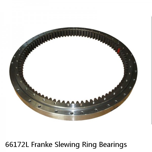 66172L Franke Slewing Ring Bearings