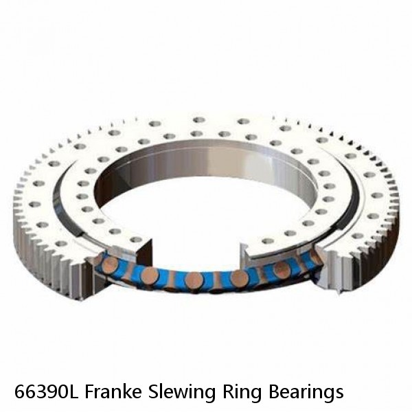 66390L Franke Slewing Ring Bearings