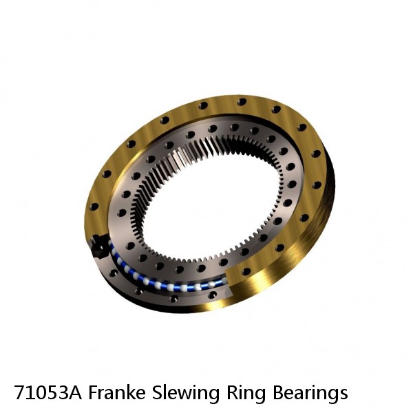 71053A Franke Slewing Ring Bearings