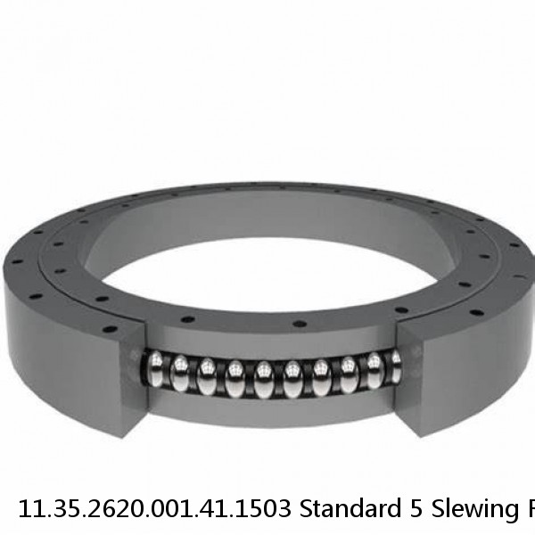 11.35.2620.001.41.1503 Standard 5 Slewing Ring Bearings