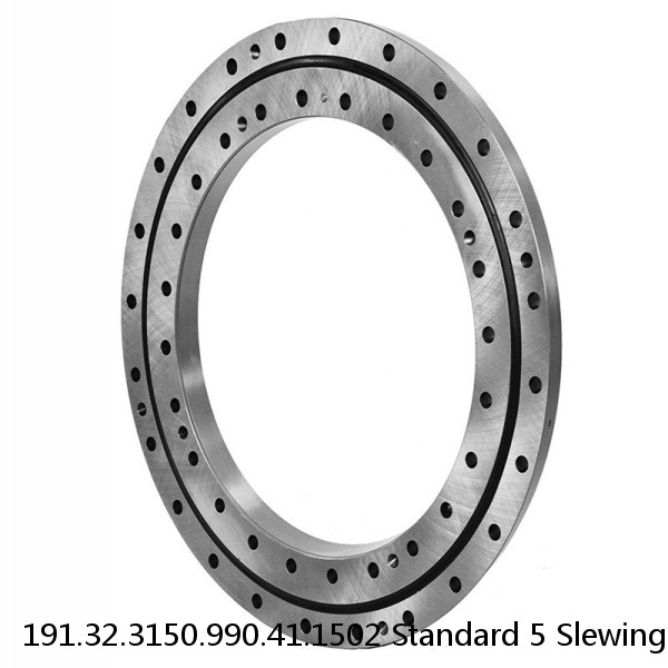 191.32.3150.990.41.1502 Standard 5 Slewing Ring Bearings