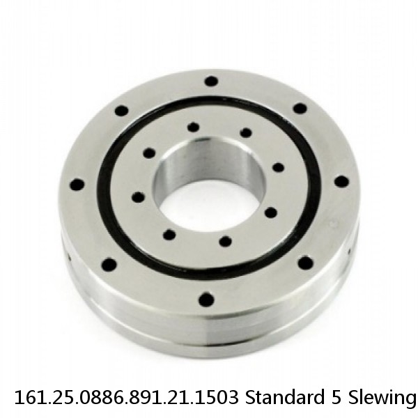 161.25.0886.891.21.1503 Standard 5 Slewing Ring Bearings