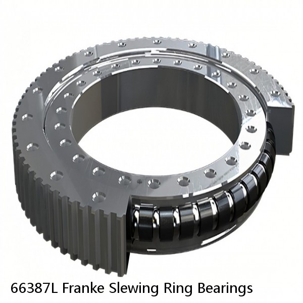 66387L Franke Slewing Ring Bearings