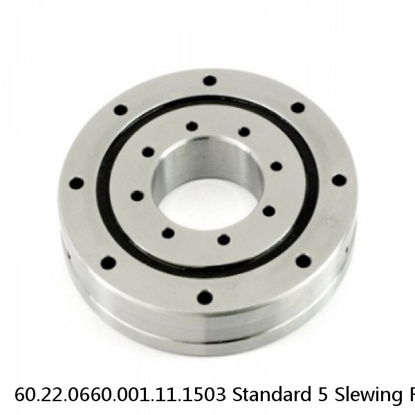 60.22.0660.001.11.1503 Standard 5 Slewing Ring Bearings