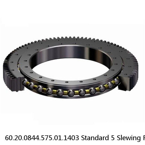 60.20.0844.575.01.1403 Standard 5 Slewing Ring Bearings