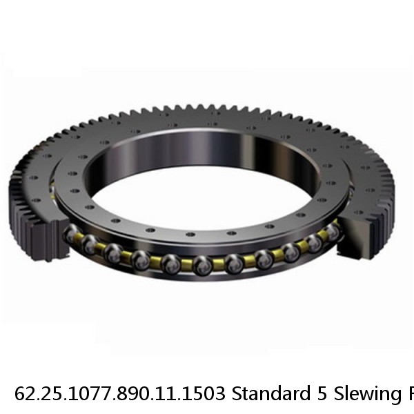 62.25.1077.890.11.1503 Standard 5 Slewing Ring Bearings