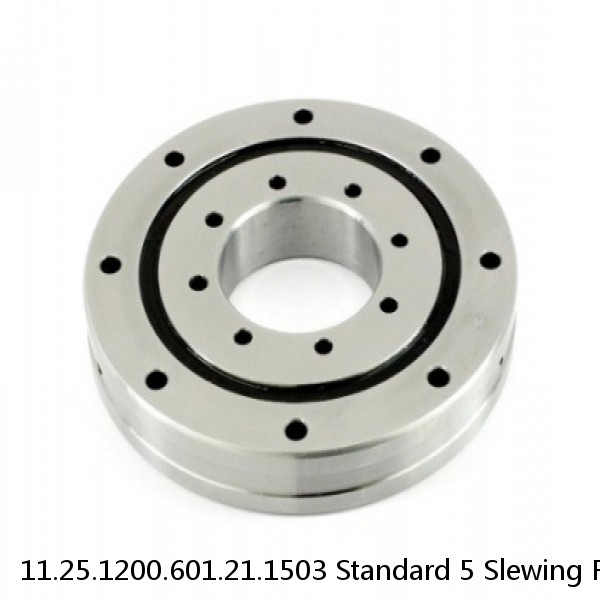 11.25.1200.601.21.1503 Standard 5 Slewing Ring Bearings