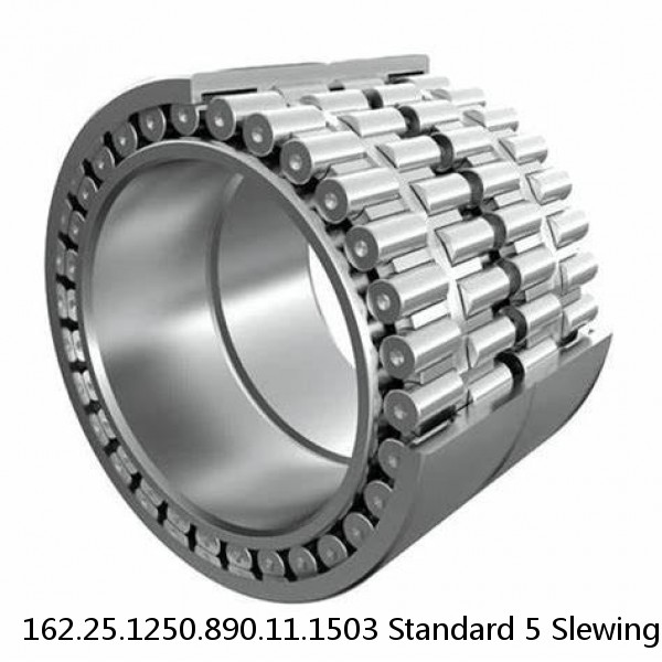 162.25.1250.890.11.1503 Standard 5 Slewing Ring Bearings