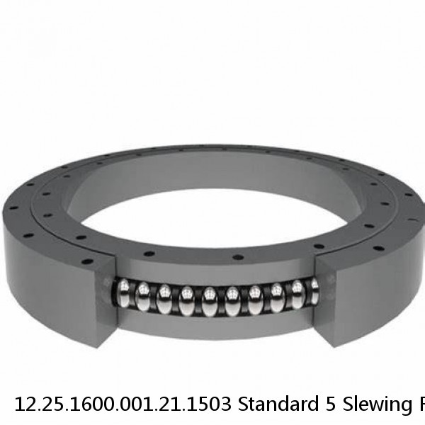 12.25.1600.001.21.1503 Standard 5 Slewing Ring Bearings