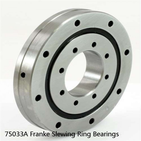 75033A Franke Slewing Ring Bearings