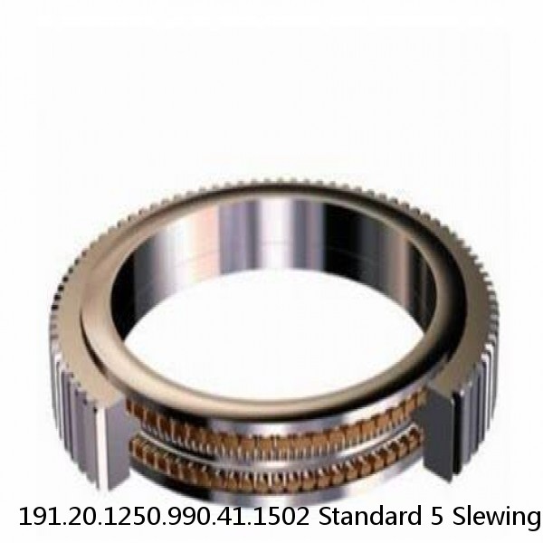 191.20.1250.990.41.1502 Standard 5 Slewing Ring Bearings