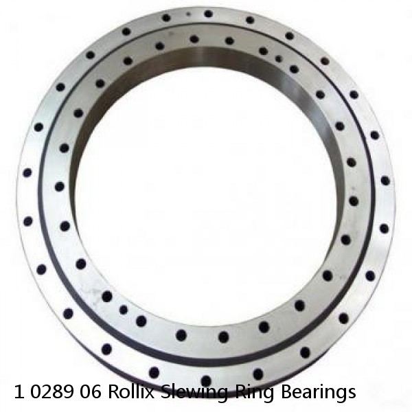 1 0289 06 Rollix Slewing Ring Bearings