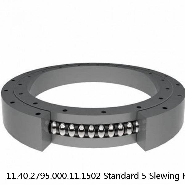 11.40.2795.000.11.1502 Standard 5 Slewing Ring Bearings