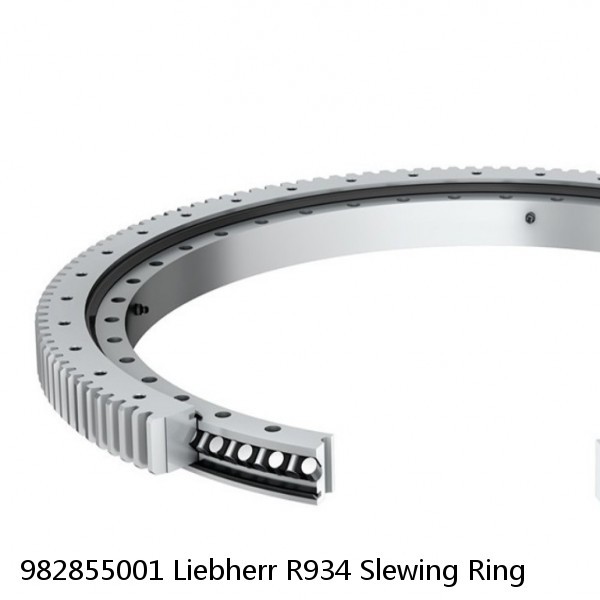 982855001 Liebherr R934 Slewing Ring