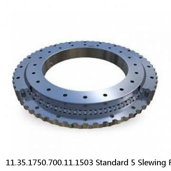 11.35.1750.700.11.1503 Standard 5 Slewing Ring Bearings