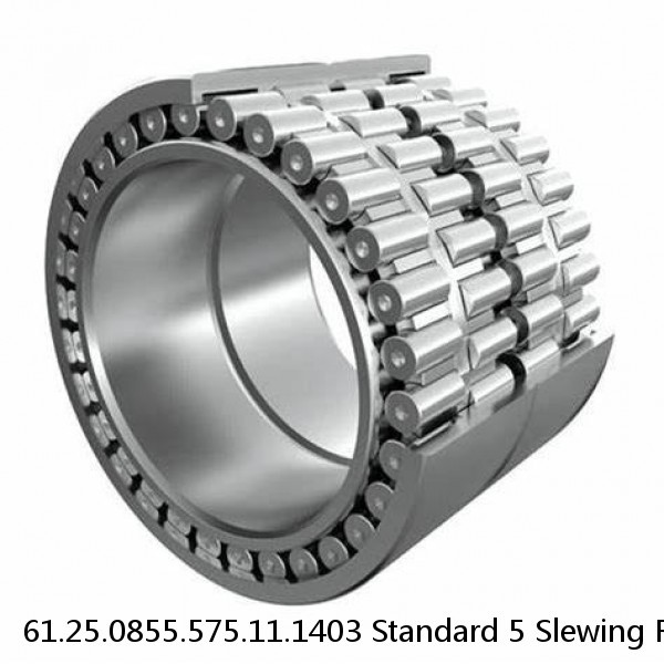 61.25.0855.575.11.1403 Standard 5 Slewing Ring Bearings