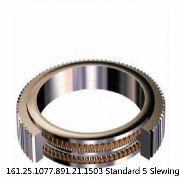 161.25.1077.891.21.1503 Standard 5 Slewing Ring Bearings