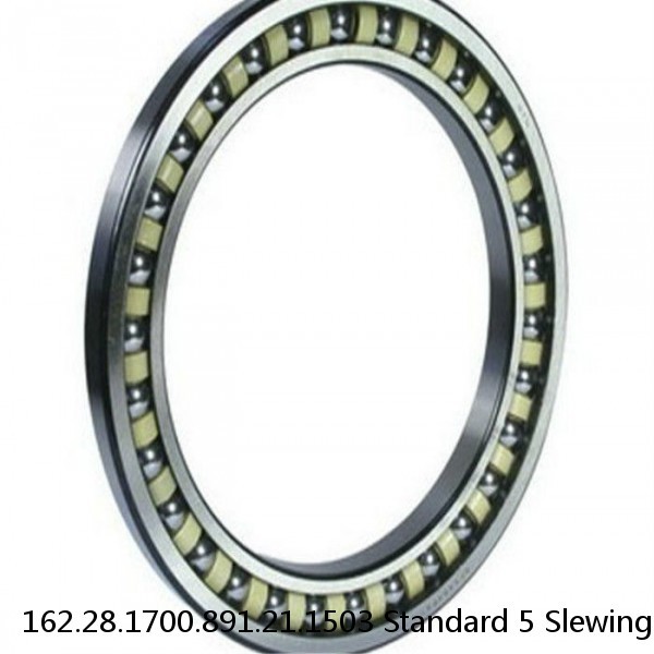 162.28.1700.891.21.1503 Standard 5 Slewing Ring Bearings