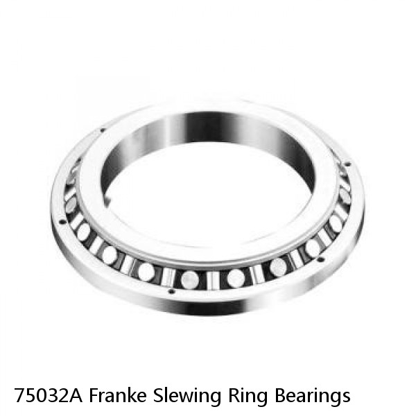 75032A Franke Slewing Ring Bearings