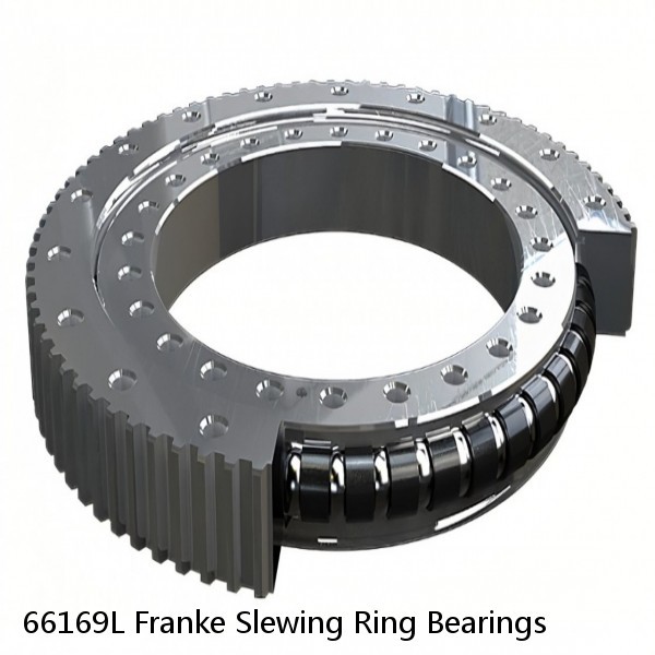 66169L Franke Slewing Ring Bearings