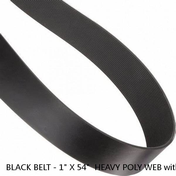 BLACK BELT - 1" X 54"  HEAVY POLY WEB with SIDE RELEASE BUCKLE