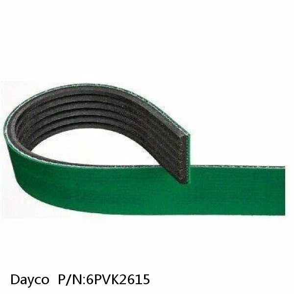 Dayco  P/N:6PVK2615